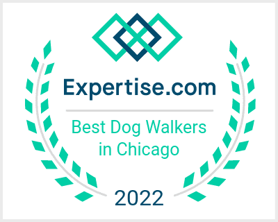 expertise.com best dog walkers in chicago award