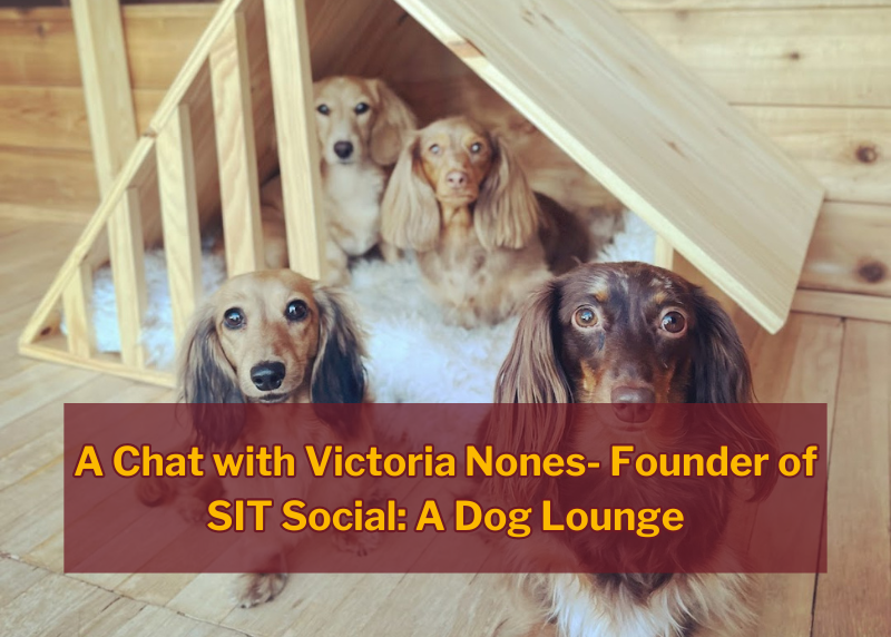 A Chat with Victoria Nones- Founder of SIT Social: A Dog Lounge