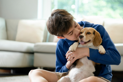 Behind a white couch sits a young boy holding a beagle puppy. The boy sits on a white rug in criss cross applesauce, with the pup sitting in the middle of his lap. He cradles his arms under the beagle's top legs, and kisses the animals cheek. The beagle looks content, and sticks his tongue out with a smile.