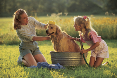 In a field, a young woman and little girl give a golden retriever a bath. The pup sits contently in a metal bucket. To the left of him, a young woman kneels, with shoulder length ash blond hair swept back in a headband. She puts one hand on the dogs shoulder, and dabs a sponge on the crown of his head. To the right of the dog, a toe head blond little girl holds a hose, and pats the dogs spine.