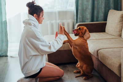 A white woman with brown hair in a bun plays patty cake with a brown dog with long floppy ears. The dog balances on its hind legs, and flicks its tongue to lick its chops.