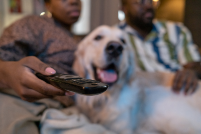 A Black man and woman sitting on the couch with a pale yellow lab. The dog lays across both couple's lap, the man's hand rests on the dog's hindquarters. The woman holds a TV remote, and rests her arm on the arm of the couch. All 3 stare contently at a tv, which is out of shot.