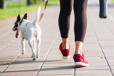 Backs of owner and dog trotting down a paved park path