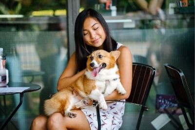 A content corgi being pet while sat in a smiling woman's lap