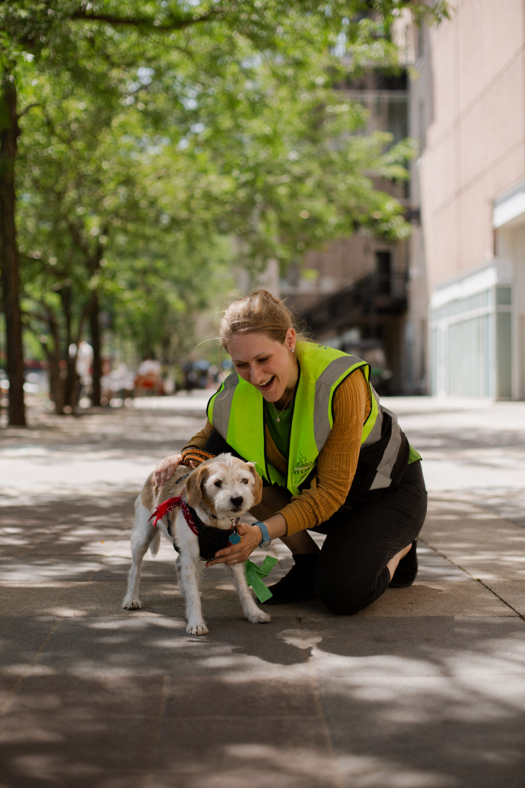 Woman petting dog on sidewalk