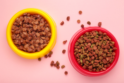 On a pink background sit two dog food bowls. One yellow, on the left, and the other red, to its right. The yellow bowl contains wet dog food a sludge of wet brown pucks. In between the bowls is a smattering of dry kibble. The red bowl contains more dry food, a collection of red, green, and brown kibble bits.