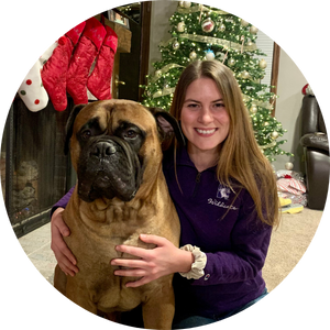 dog walker pet sitter chicago urban pets Anna