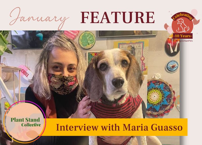 January Interview with Maria Guasso Plant Stand Collective