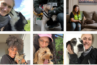 Chicago Urban Pets staff