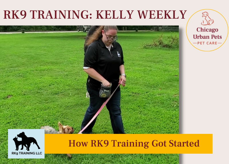 RK9 Training start