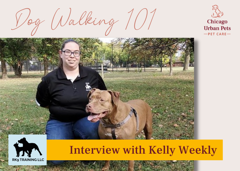Kelly Weekly with a Bully breed