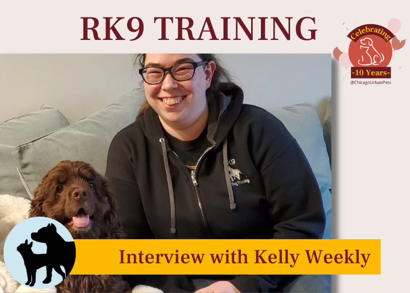 Interview with Kelly Weekly from RK9 training