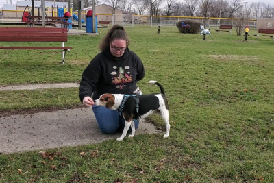 Kelly, in her signature ponytail, holds one hand behind her back, while the other presents a treat to the beagle she's kneeling behind. The dog's tail is up, and his head reaches forward, snout touching Kelly's hand. They stand in a park, with a playground and a fenced in outfield of a baseball diamond behind them.