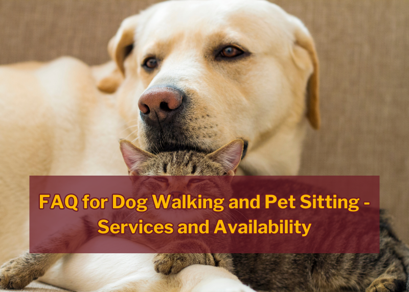 faq about dog walking and petsitting