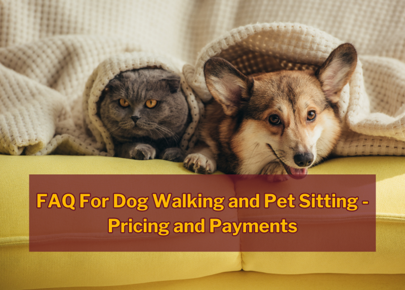 FAQ for dog walking and pet sitting