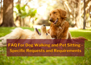 FAQ For Dog Walking and Pet Sitting – Specific Requests and Requirements