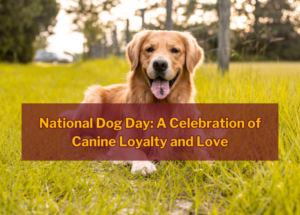 National Dog Day: A Celebration of Canine Loyalty and Love