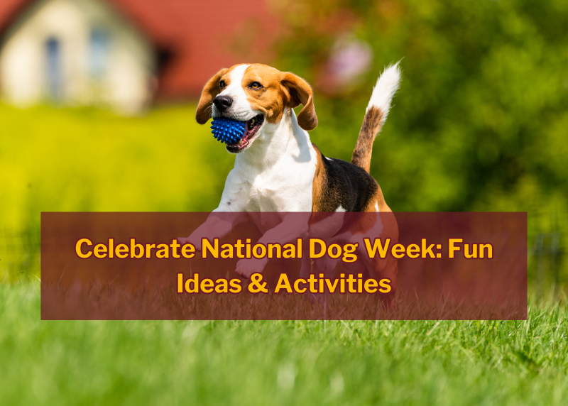 national dog week