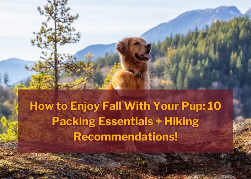 Fall hiking tips