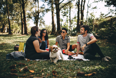 In a park, 4 friends and their dog gather for a picnic.  They sit on a white blanket, drinking from red plastic cups.  They sit in a grass clearing, shaded by trees in the background.