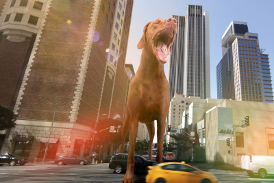 Busy street in the middle of a city with an image of a dog barking edited in the middle of an intersection.  The brown, short haired dog appears to be taller than some of the buildings around it.  