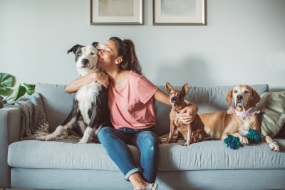 white woman with brown hair in ponytail sitting on a couch with three dogs. She hugs two, a black and white pitbull on the left, and a brown chihuahua to the right. Right of the Chihuahua is a tawny yellow lab, holding a blue rope toy under his left front paw. The woman kisses the pitbull's cheek.