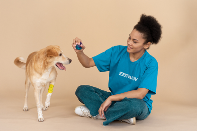A mixed race woman with her hair in a puff holds a blue ball up to a medium sized tawny dog. The dog has a yellow bandage wrapped around its left front leg.