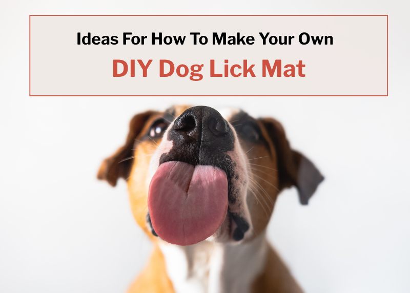 dog licking the image towrds viewer with white background and blog title: Ideas for how to amke your own DIY dog lick mat