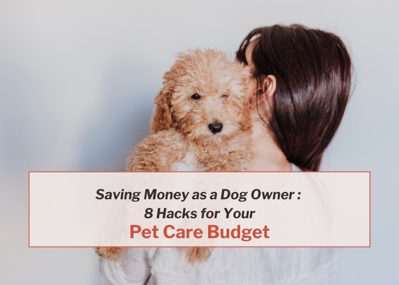 woman from behind holding a golden doodle puppy and off white wall background