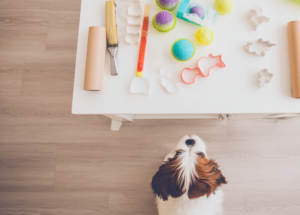 dog looking up at a kitchen table