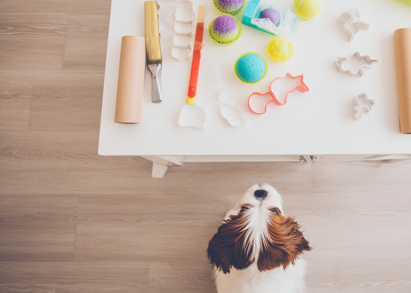 dog looking up at a kitchen table
