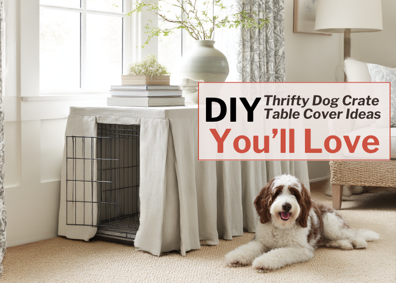 Dog crate covered with fabric used as a side table, with books and a vase on top. A dog lies in front. text overlay DIY Thrifty Dog Crate Table Cover Ideas You'll Love