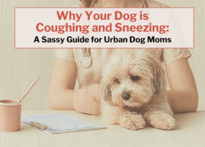 Why Your Dog is Coughing and Sneezing: A Guide for Dog Moms