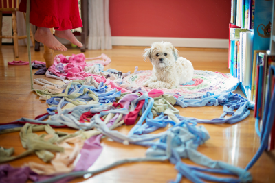 A small dog sits on a rug surrounded by colorful fabric strips and bookshelves.