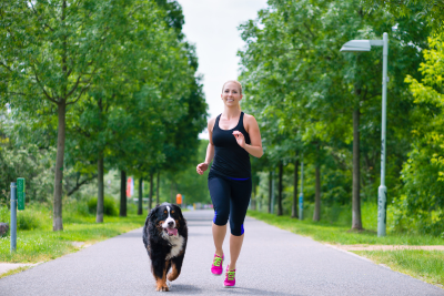 woman exercising with saint bernard dog in park