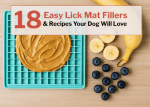 18 Easy Lick Mat Fillers & Recipes Your Dog Will Love